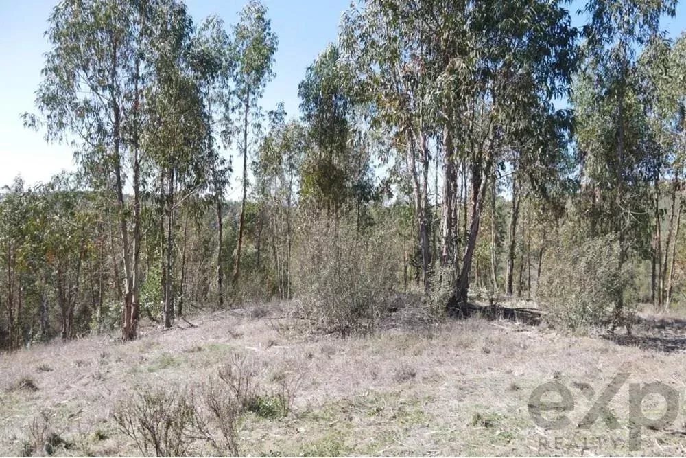 Exceptional estate of 65 hectares in the Alentejo with potential for tourism development 85506160 image 37