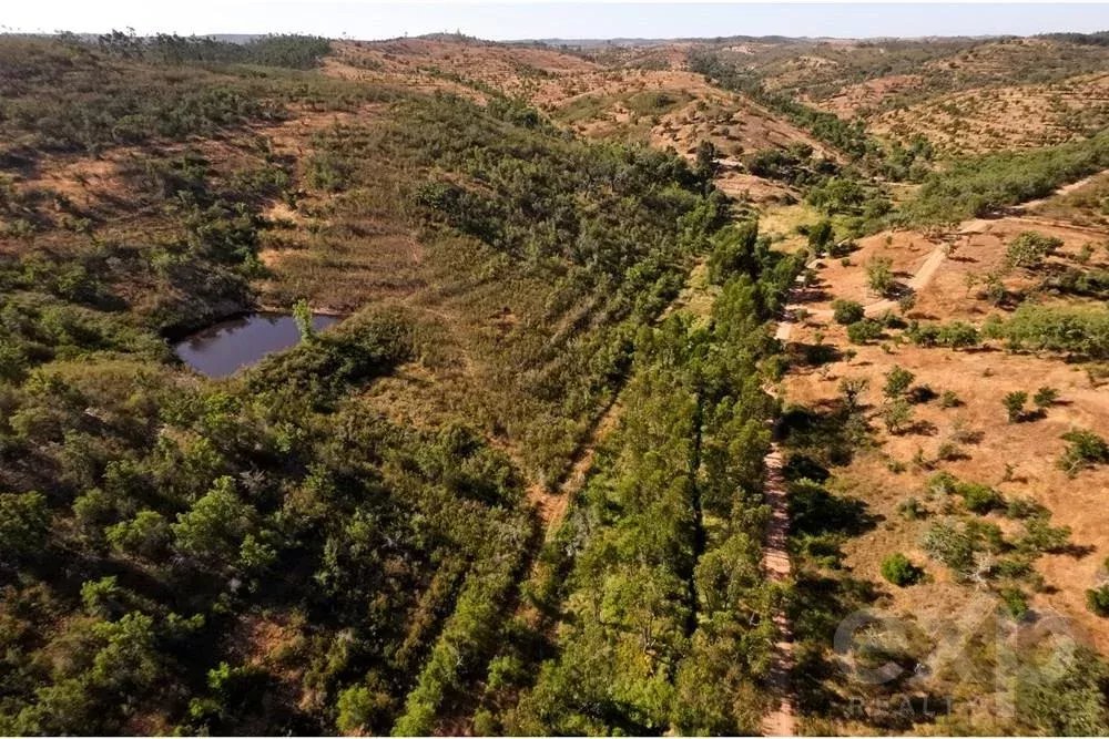 Exceptional estate of 65 hectares in the Alentejo with potential for tourism development 85506160 image 14