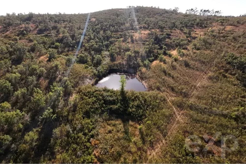 Excecional Herdade de 65 hectares no Alentejo com potencial de desenvolvimento turístico