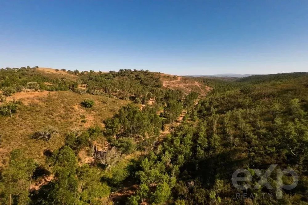 Exceptional estate of 65 hectares in the Alentejo with potential for tourism development 85506160 image 11