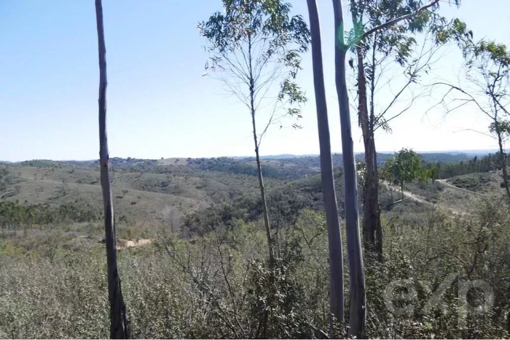 Exceptional estate of 65 hectares in the Alentejo with potential for tourism development 85506160 image 23