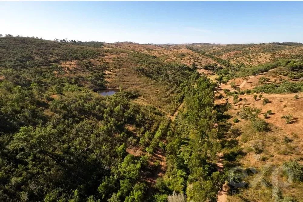 Exceptional estate of 65 hectares in the Alentejo with potential for tourism development 85506160 image 12
