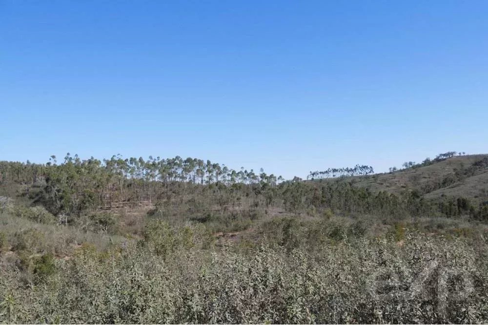 Exceptional estate of 65 hectares in the Alentejo with potential for tourism development 85506160 image 42