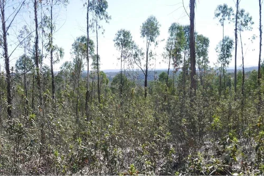 Exceptional estate of 65 hectares in the Alentejo with potential for tourism development 85506160 image 25