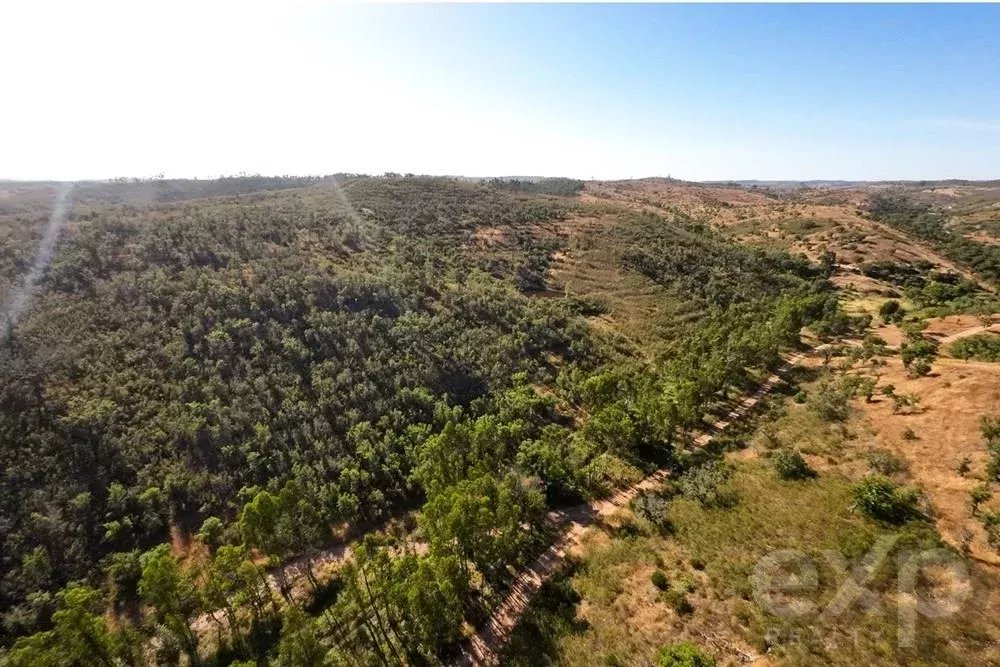 Excecional Herdade de 65 hectares no Alentejo com potencial de desenvolvimento turístico