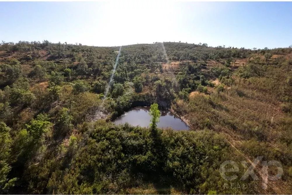 Excecional Herdade de 65 hectares no Alentejo com potencial de desenvolvimento turístico