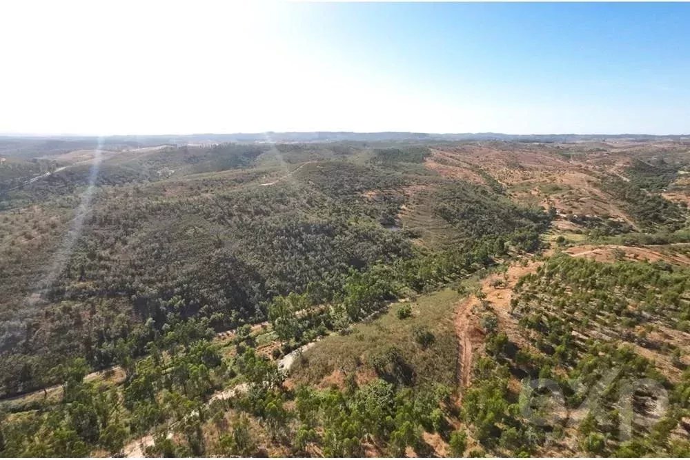 Exceptional estate of 65 hectares in the Alentejo with potential for tourism development 85506160 image 10