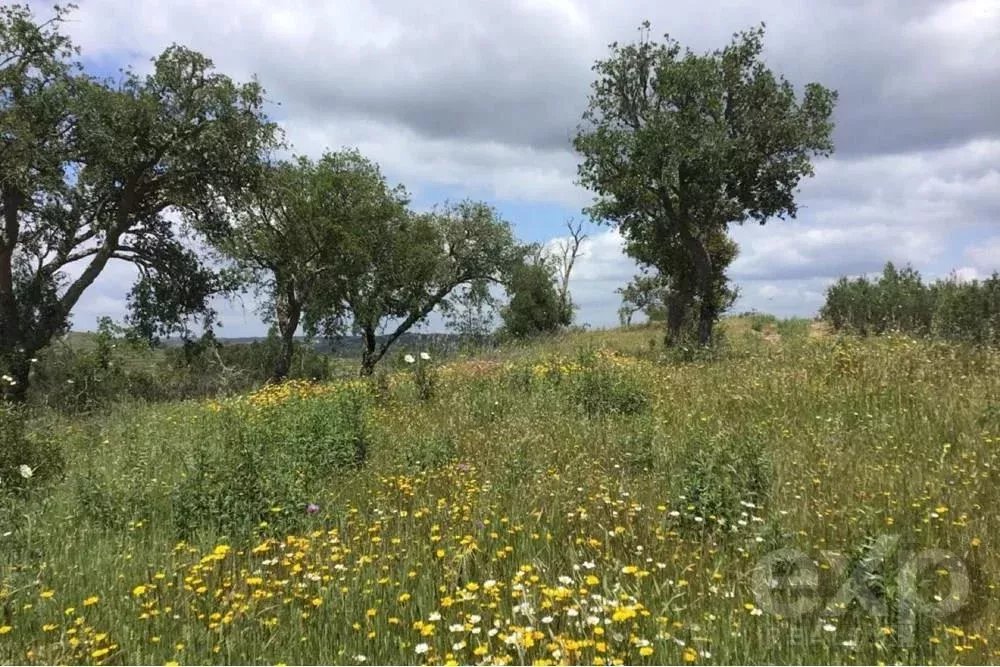 Exceptional estate of 65 hectares in the Alentejo with potential for tourism development 85506160 image 39