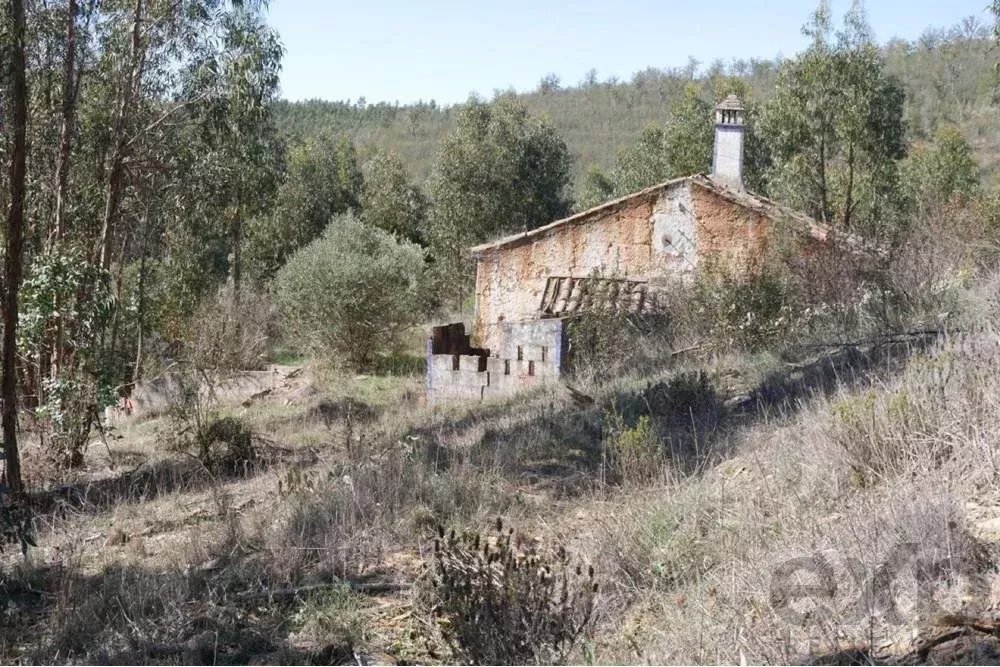 Exceptional estate of 65 hectares in the Alentejo with potential for tourism development 85506160 image 38