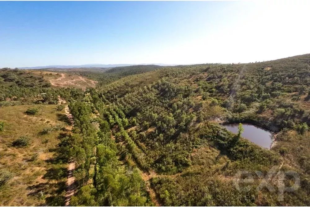 Exceptional estate of 65 hectares in the Alentejo with potential for tourism development 85506160 image 16