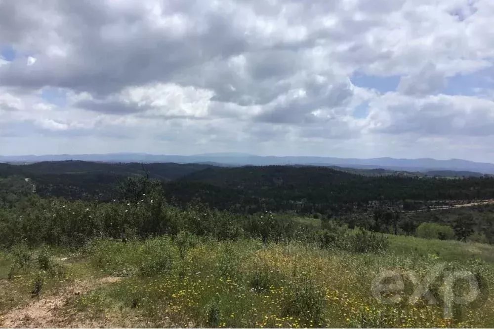 Exceptional estate of 65 hectares in the Alentejo with potential for tourism development 85506160 image 21