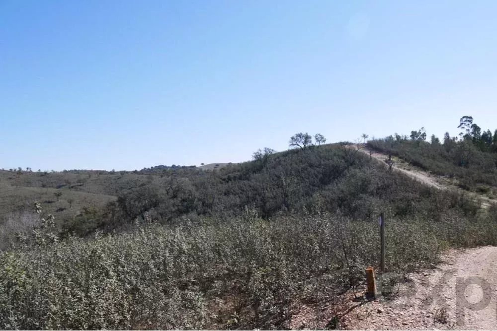 Exceptional estate of 65 hectares in the Alentejo with potential for tourism development 85506160 image 43