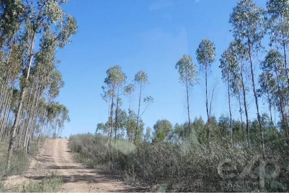 Exceptional estate of 65 hectares in the Alentejo with potential for tourism development 85506160 image 26