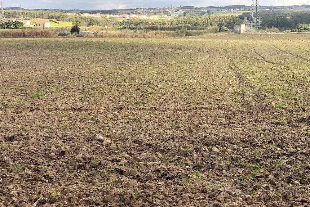 Terreno Rústico de 14.000 m² na Vila de Atouguia da Baleia