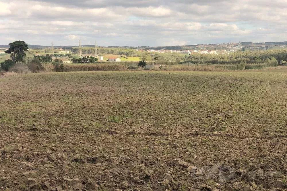 Terreno Rústico de 14.000 m² na Vila de Atouguia da Baleia