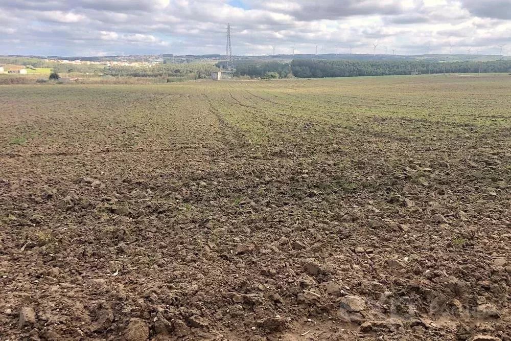 Terreno Rústico de 14.000 m² na Vila de Atouguia da Baleia