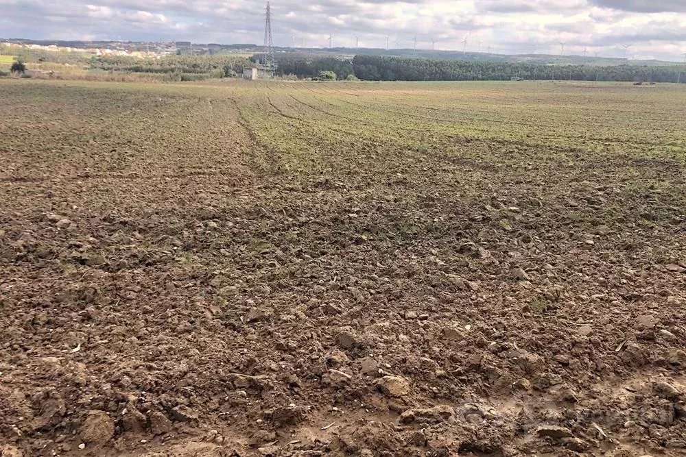 Terreno Rústico de 14.000 m² na Vila de Atouguia da Baleia