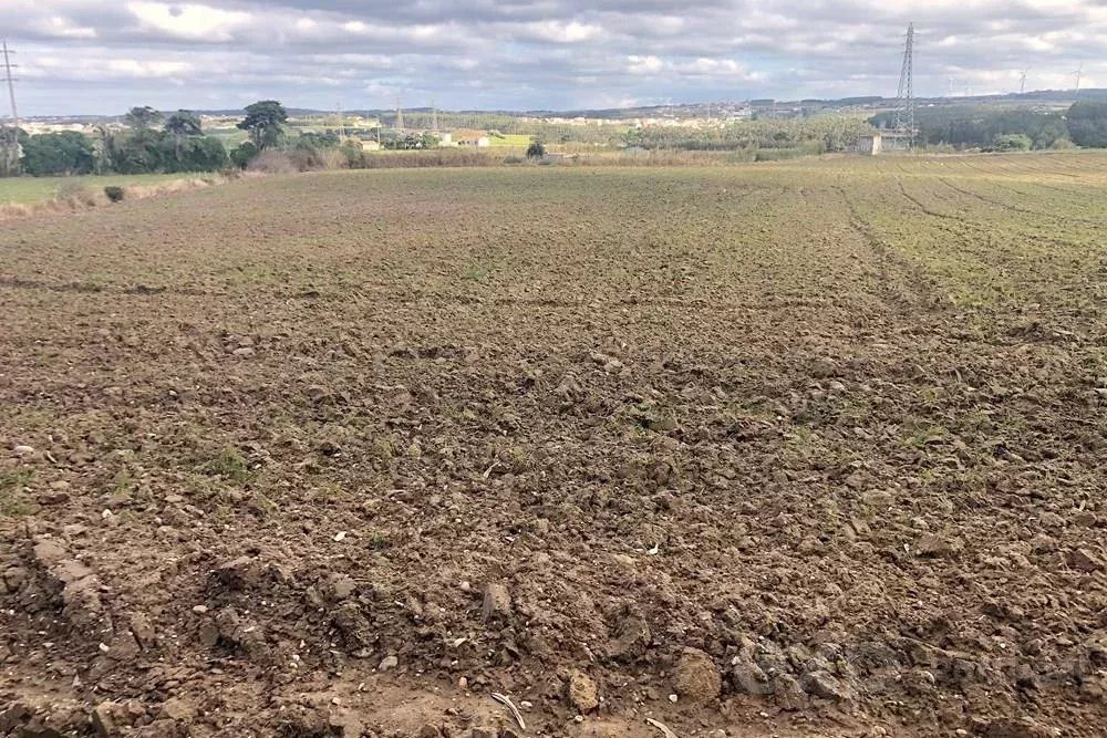 Terreno Rústico de 14.000 m² na Vila de Atouguia da Baleia