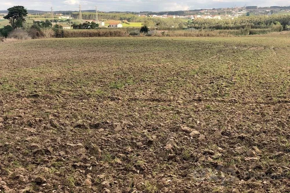 Terreno Rústico de 14.000 m² na Vila de Atouguia da Baleia