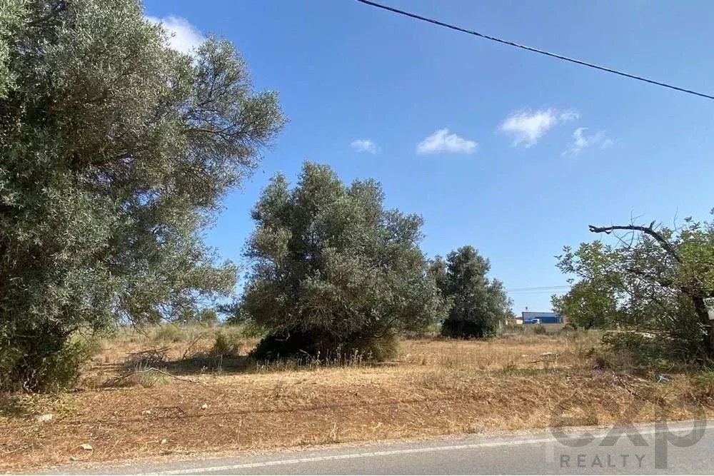 🇵🇹TERRENO RUSTICO a venda em distrito Faro