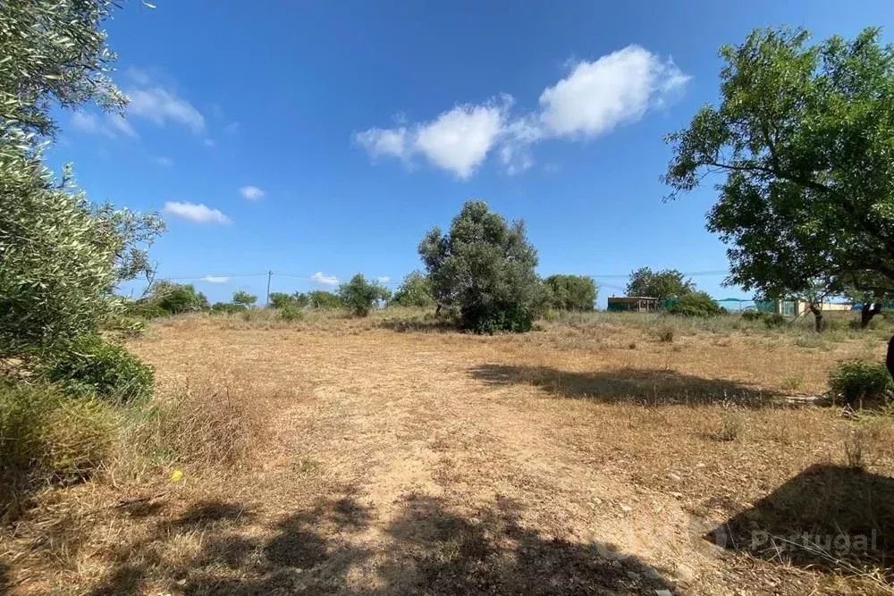 🇵🇹TERRENO RUSTICO a venda em distrito Faro