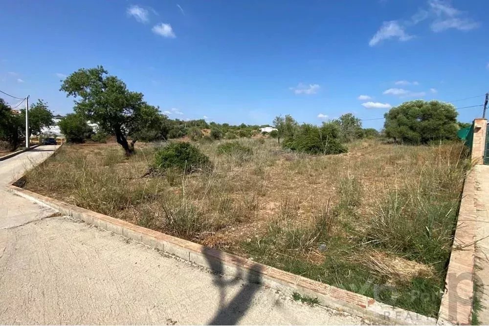 🇵🇹TERRENO RUSTICO a venda em distrito Faro