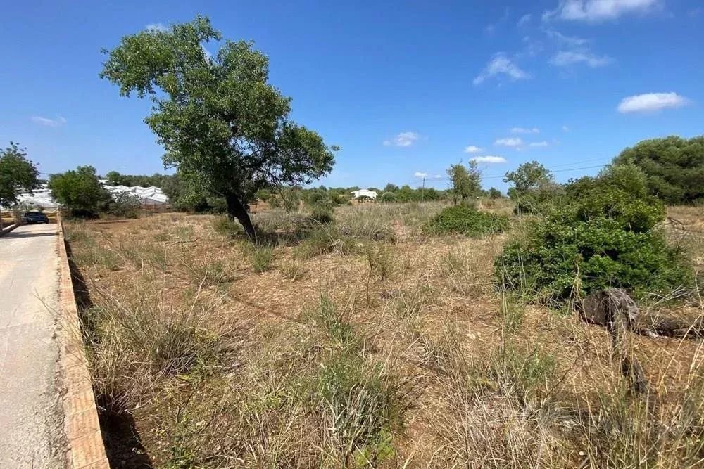 🇵🇹TERRENO RUSTICO a venda em distrito Faro