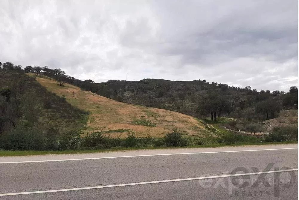 Terrenos Rústicos em Mirandela