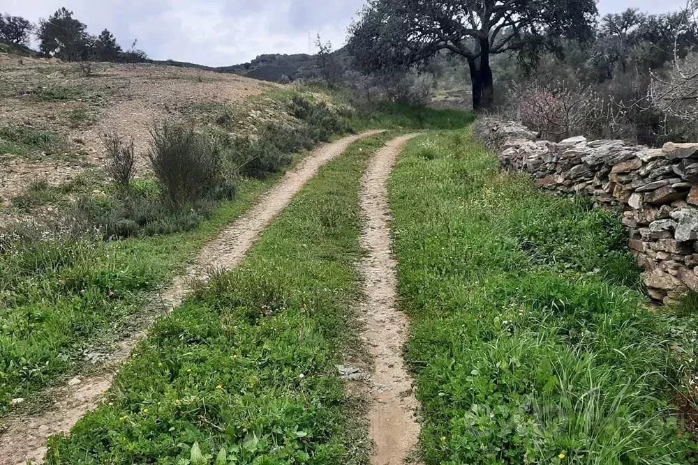 Terrenos Rústicos em Mirandela