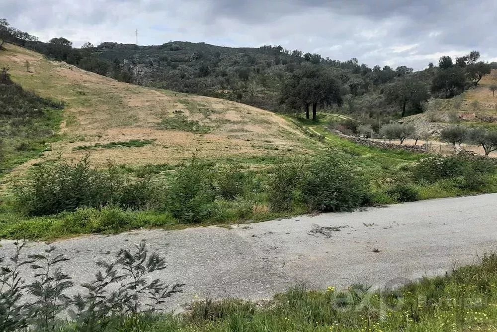 Terrenos Rústicos em Mirandela