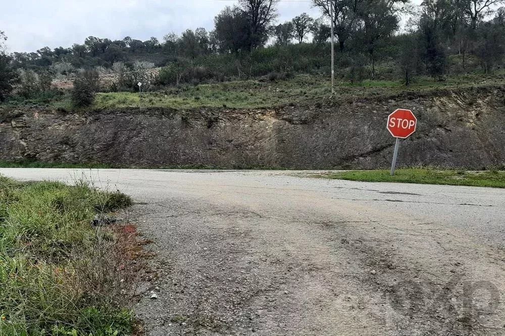 Terrenos Rústicos em Mirandela