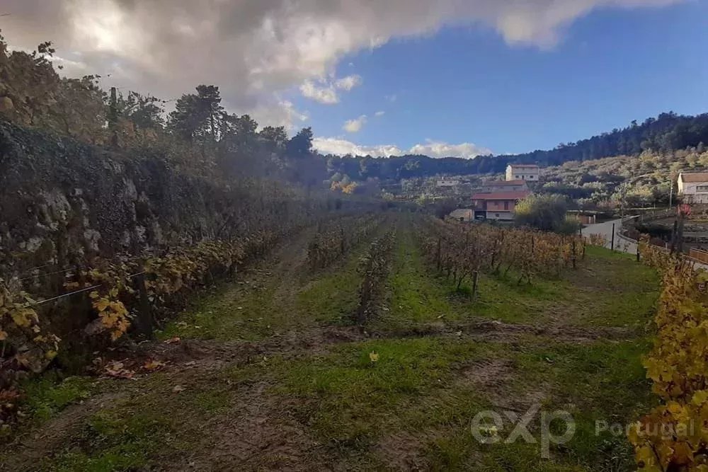 Terreno para Venda em Pegarinhos, Portugal: 4800 m²