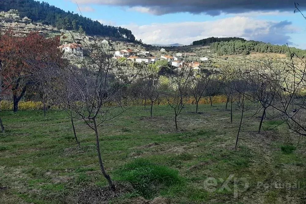 Fazenda Espetacular em Pegarinhos, Portugal