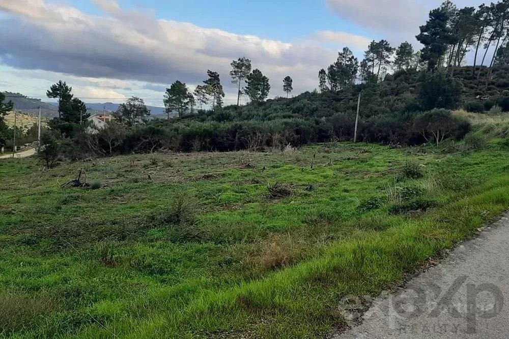 Fazenda Espetacular em Pegarinhos, Portugal