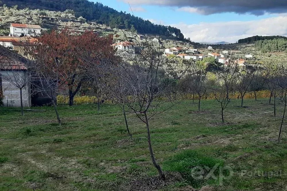 Armazém Agrícola em Pegarinhos, Alijó
