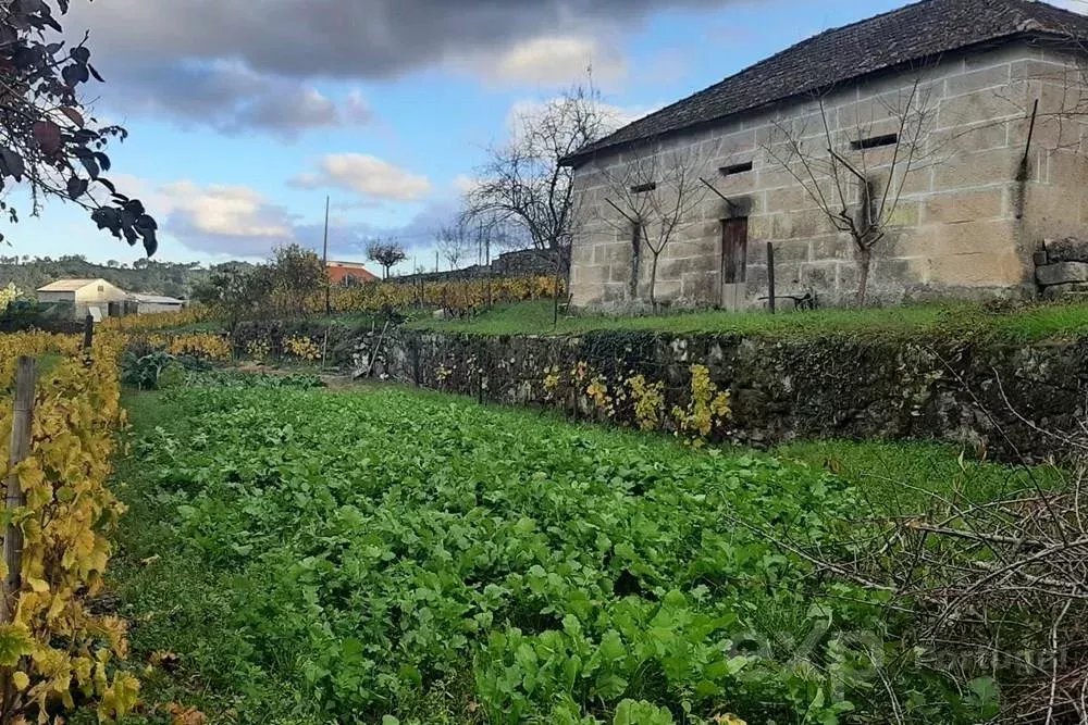 Armazém Agrícola em Pegarinhos, Alijó