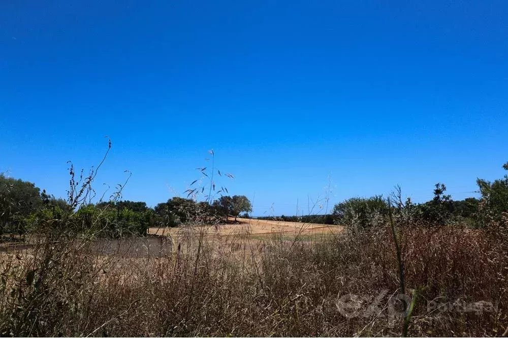 Oportunidade de Investimento Única: Novo Empreendimento em Faro, Algarve - Não perca!
