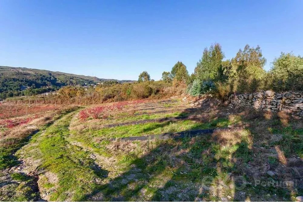 Quinta do Tapado Novo - Baião