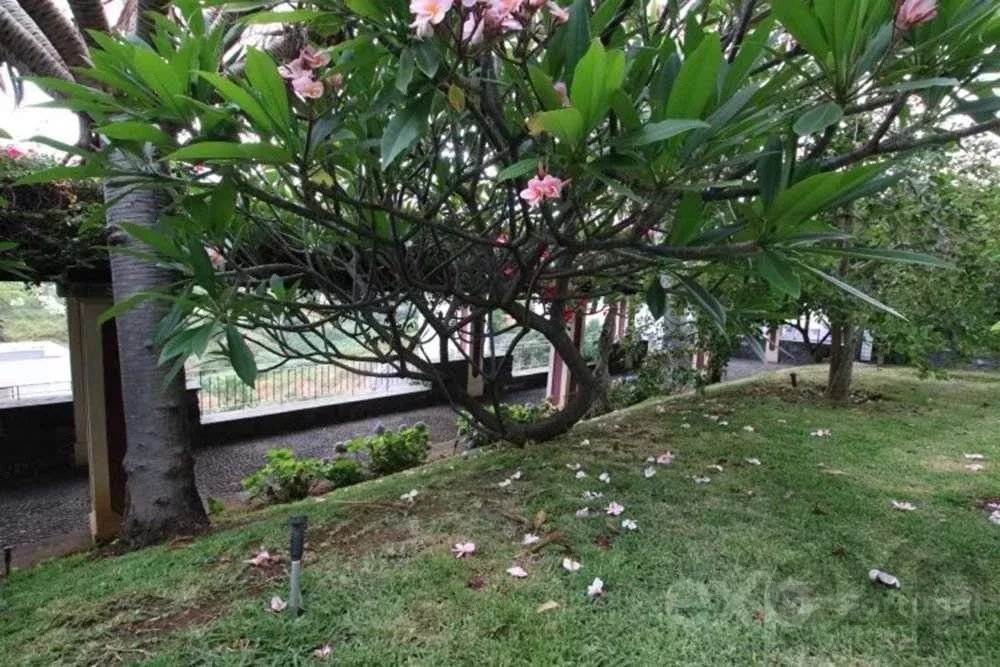 Viver com Elegância, Beleza Intemporal e Espaço Abundante: Uma Casa Senhorial Única do Século XVII, Cheia de Carácter e Conforto