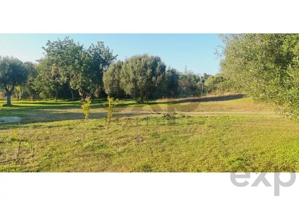 Terreno construtível com ruína e com um projeto aprovado