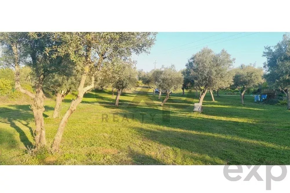 Buildable plot featuring existing ruins and a pre‑approved development plan 85507017 image 7