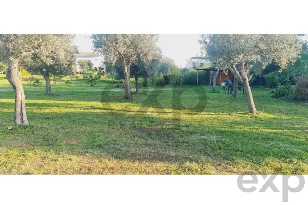 Buildable plot featuring existing ruins and a pre‑approved development plan 85507017 image 8