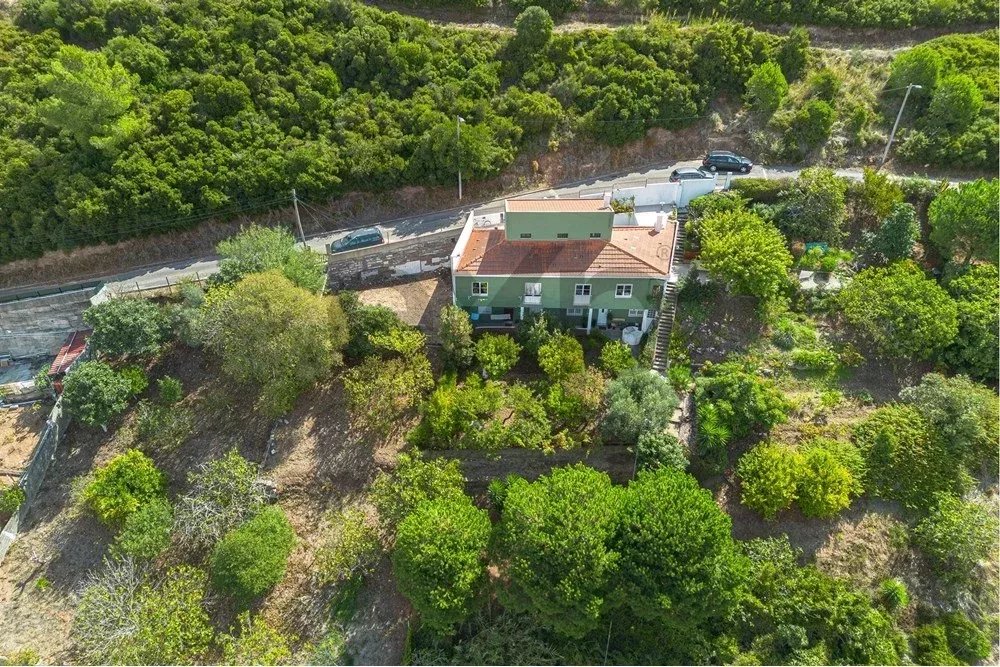 Building with excellent return on investment 85507401 image 25
