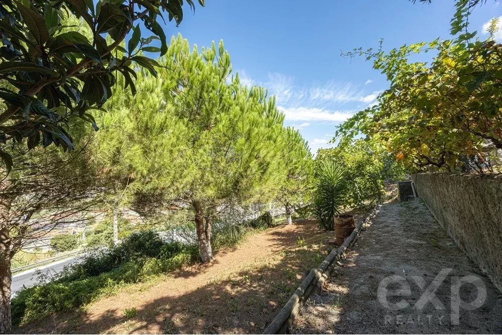 Building with excellent return on investment 85507401 image 21