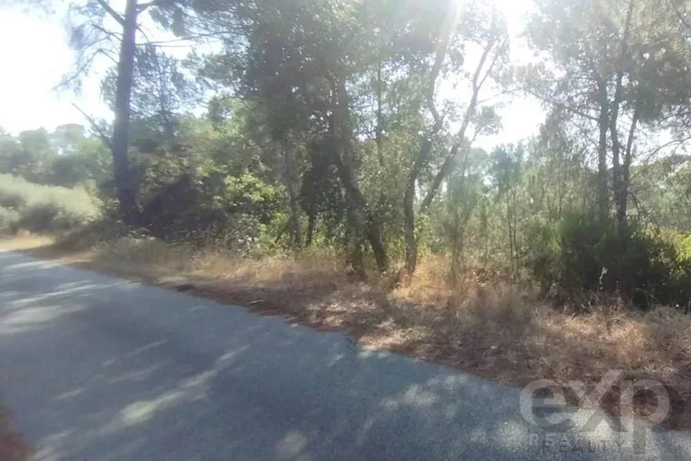 Terreno à venda em Viseu, 11200 m²