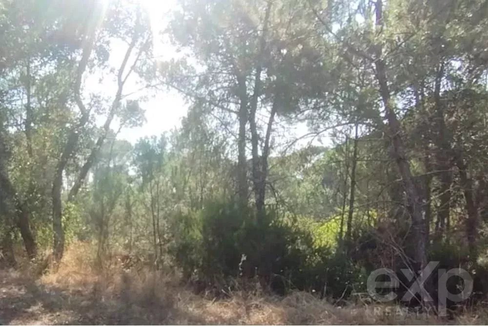 Terreno à venda em Viseu, 11200 m²