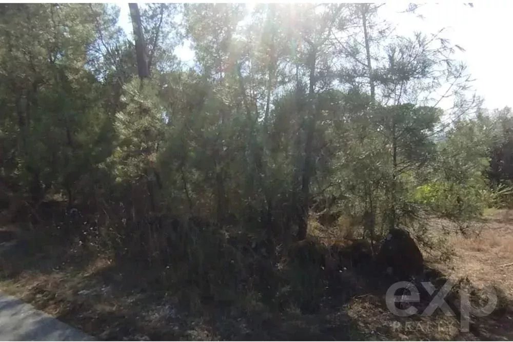 Terreno à venda em Viseu, 11200 m²
