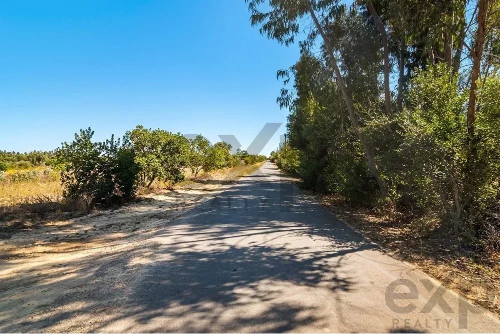 Unmissable Investment Opportunity in Odemira 85507464 image 12