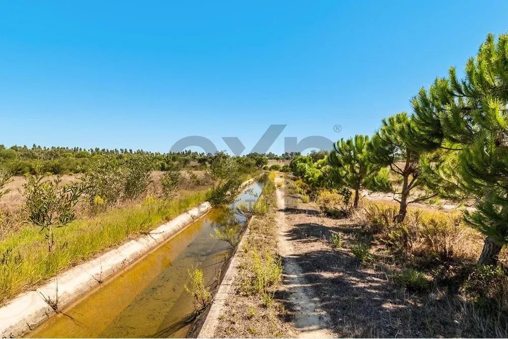Unmissable Investment Opportunity in Odemira 85507464 image 15