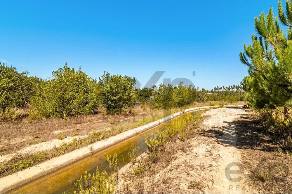 Unmissable Investment Opportunity in Odemira 85507464 image 7